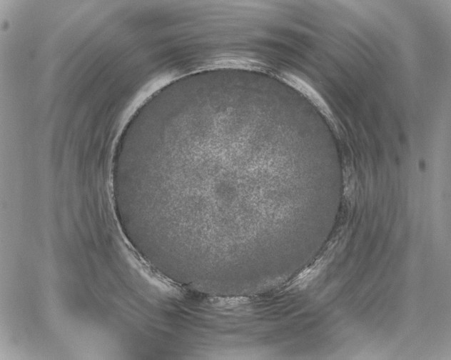 X0000067951043200604201426