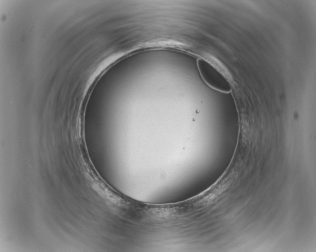 X0000067951044200604201426