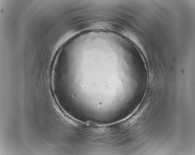 X0000067951045200604201426