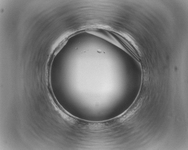 X0000067951046200604201426