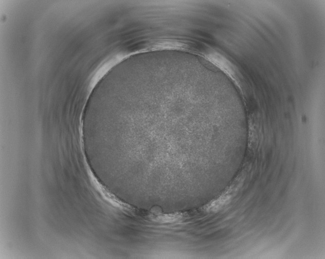 X0000067951047200604201426