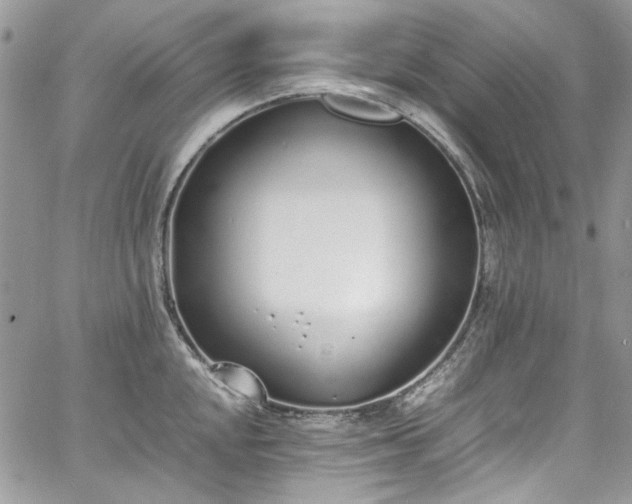 X0000067951048200604201426