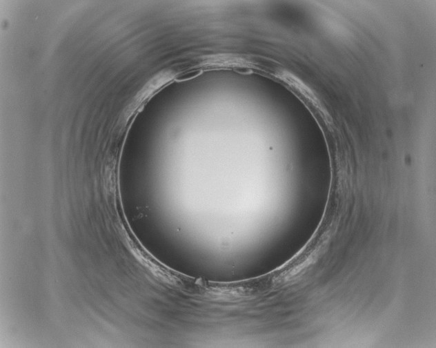 X0000067951049200604201426