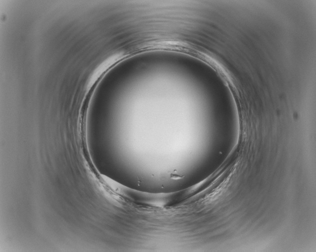 X0000067951050200604201426