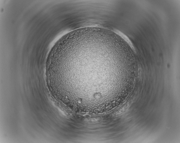 X0000067951051200604201426