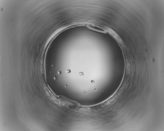 X0000067951052200604201426