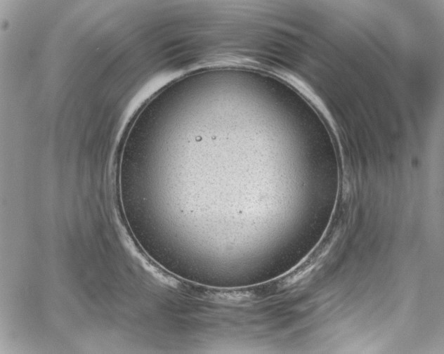 X0000067951053200604201426