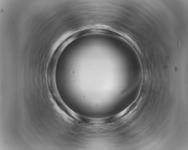 X0000067951054200604201426