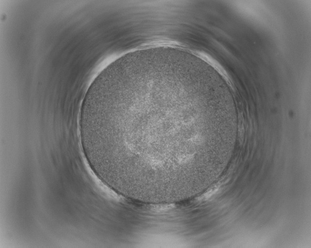 X0000067951055200604201426