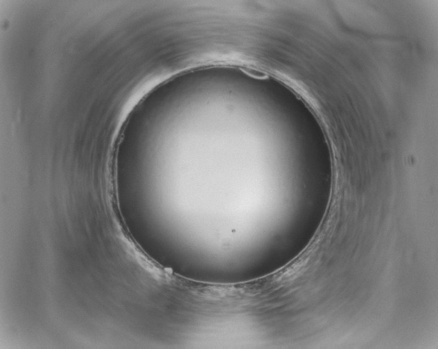 X0000067951056200604201426