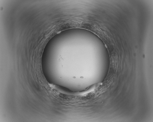 X0000067951057200604201425