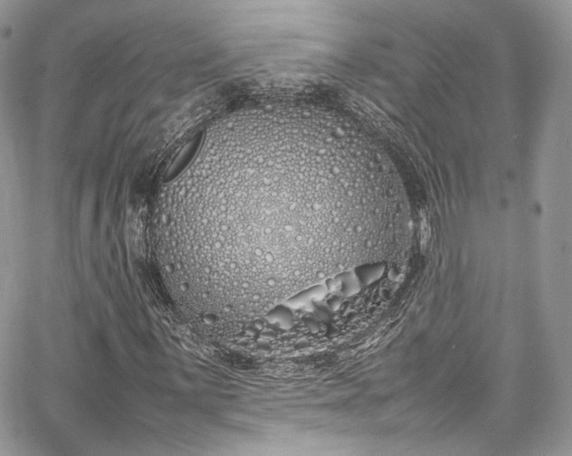 X0000067951059200604201425