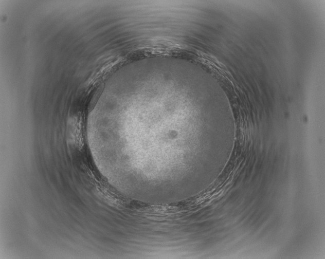 X0000067951060200604201425