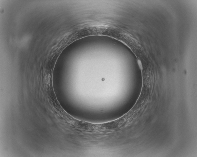 X0000067951061200604201425