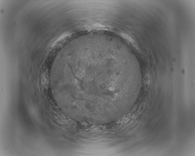 X0000067951063200604201425