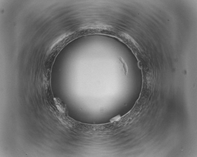 X0000067951064200604201425