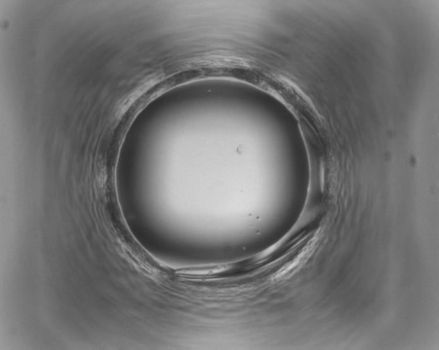 X0000067951065200604201425