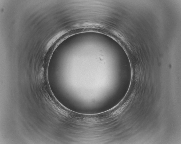 X0000067951066200604201425