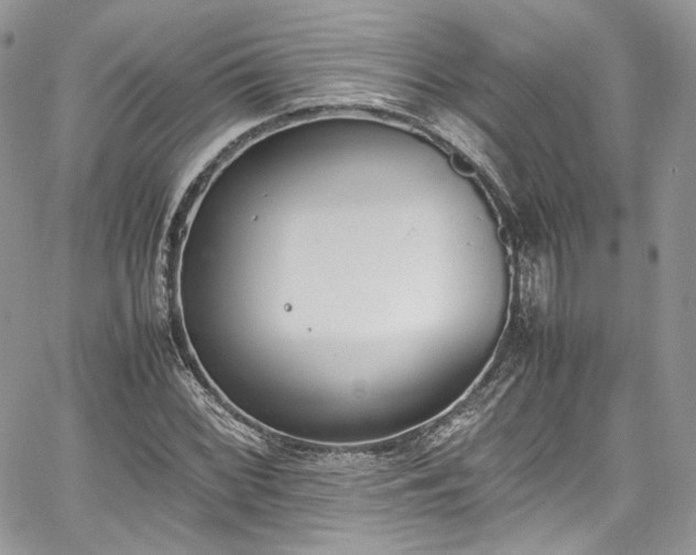 X0000067951068200604201425