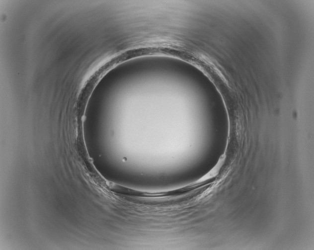 X0000067951069200604201425