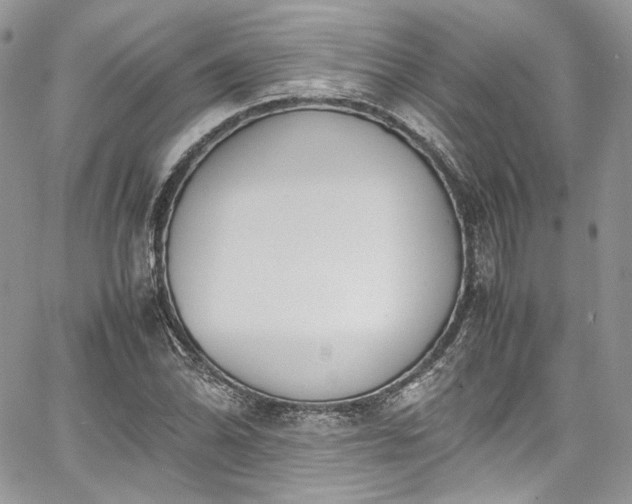 X0000067951070200604201425