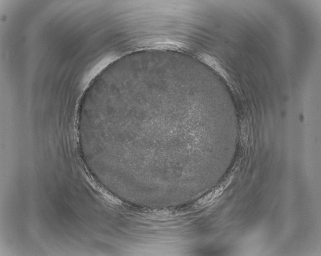 X0000067951071200604201425