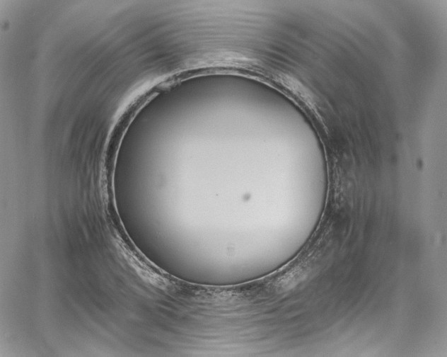 X0000067951072200604201425