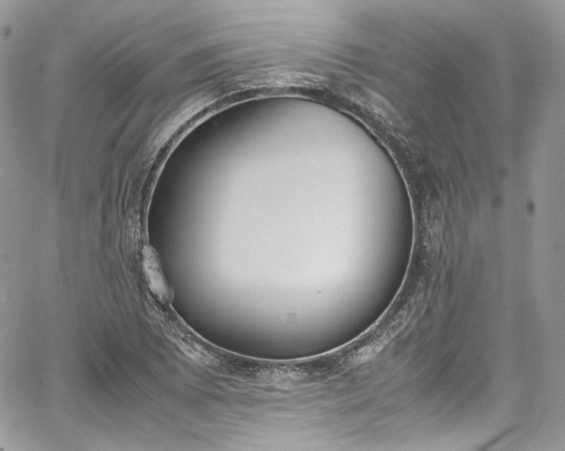 X0000067951073200604201425