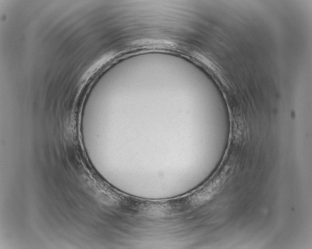 X0000067951074200604201425