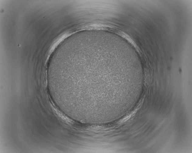 X0000067951075200604201425