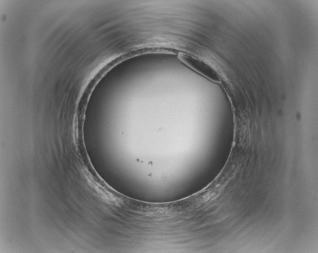 X0000067951076200604201425