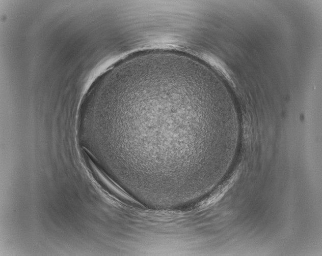 X0000067951077200604201425