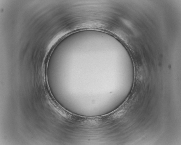 X0000067951078200604201425