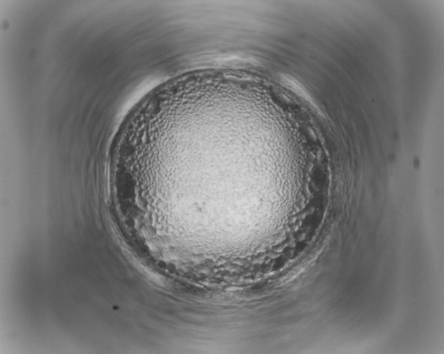 X0000067951079200604201425