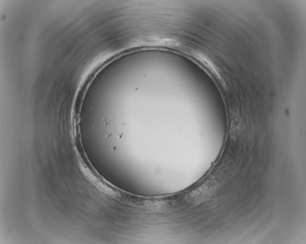 X0000067951080200604201425