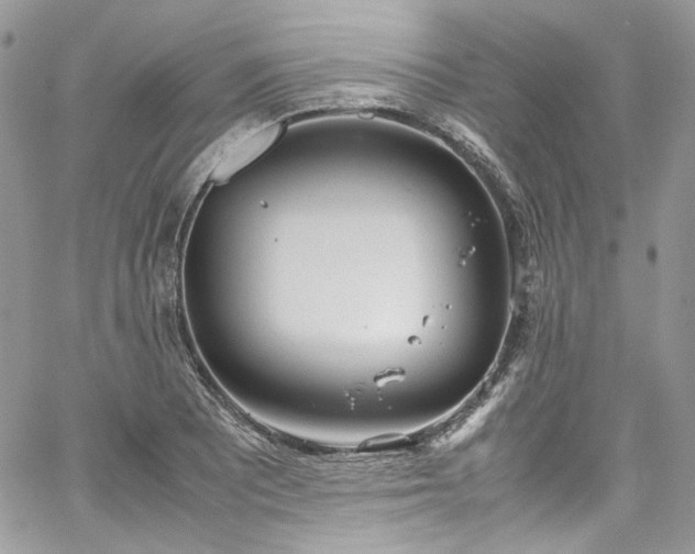 X0000067951081200604201425