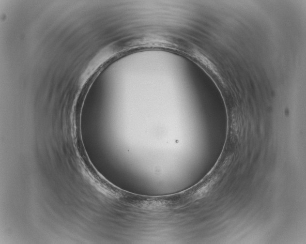 X0000067951082200604201425