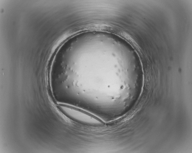 X0000067951083200604201425