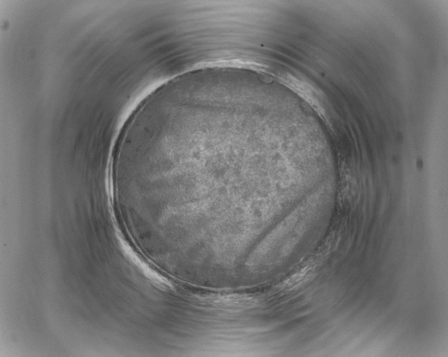 X0000067951084200604201425