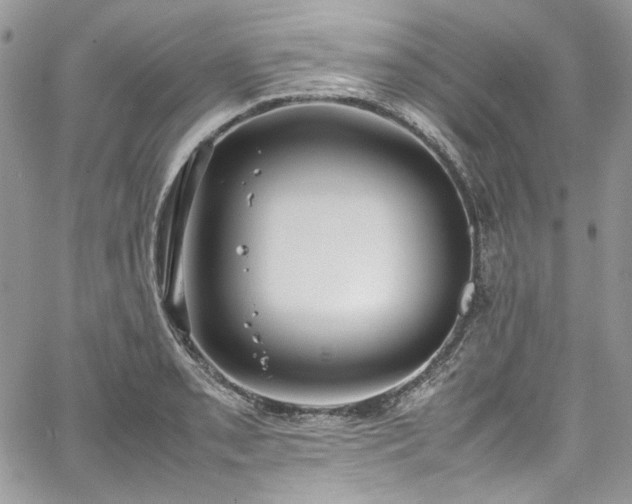 X0000067951085200604201425