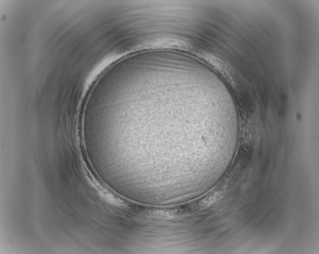 X0000067951086200604201425