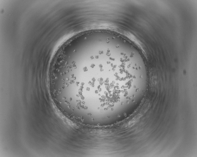 X0000067951088200604201425