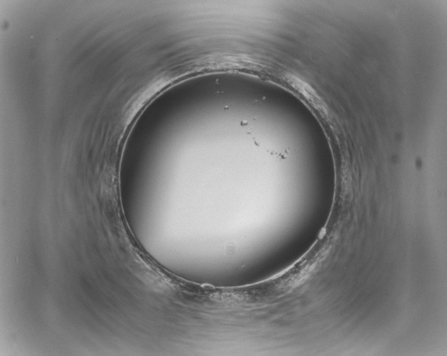 X0000067951089200604201425