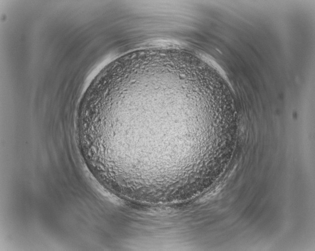 X0000067951091200604201425