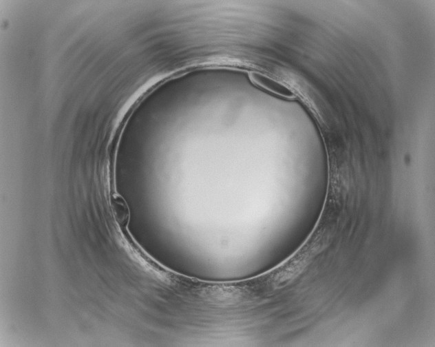 X0000067951092200604201425