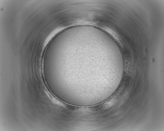 X0000067951094200604201425