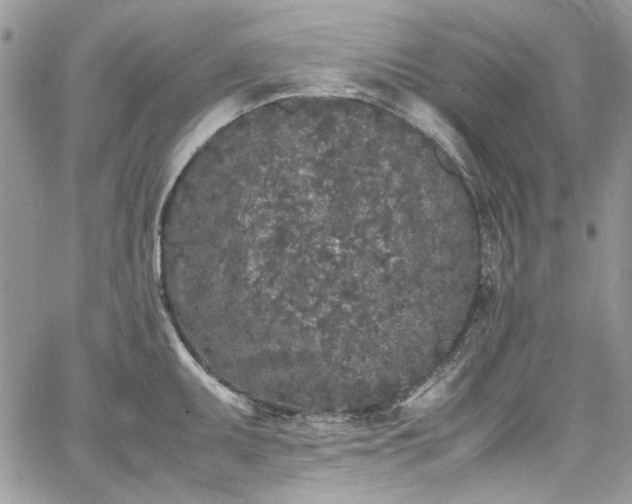 X0000067951095200604201425