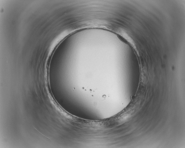 X0000067951096200604201425