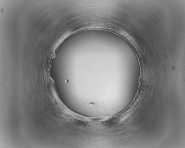 X0000067951097200604201425