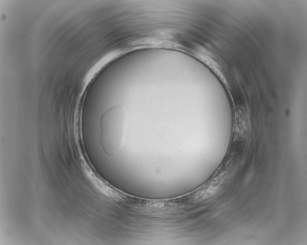 X0000067951098200604201425